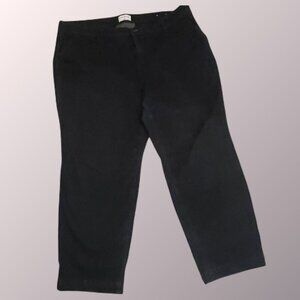 Lane Bryant Signature Fit Dark Jean Size 24